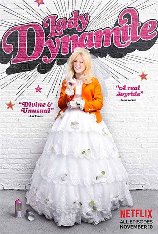 Lady Dynamite Netflix Now Playing Movie Synopsis And Info
