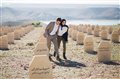 Backstabbing for Beginners Photo