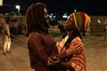 Bob Marley: One Love Photo