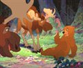 Brother Bear Photo 1 - Large