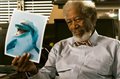 Dolphin Tale Photo