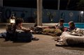 Dolphin Tale Photo