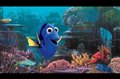 Finding Dory Photo