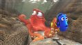 Finding Dory Photo