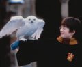 Harry Potter à l'école des sorciers Photo 1 - Grande