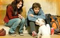 Hotel for Dogs Photo