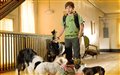 Hotel for Dogs Photo