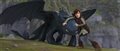 How to Train Your Dragon Photo
