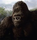 King Kong Photo