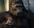 King Kong (v.f.) Photo 1