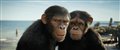 Kingdom of the Planet of the Apes Photo