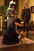 Lady and the Tramp (Disney+) Photo