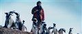 My Penguin Friend Photo