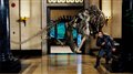 Night at the Museum Photo