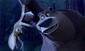 Open Season Photo