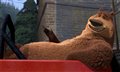 Open Season Photo