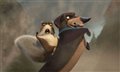 Open Season Photo
