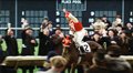 Seabiscuit Photo