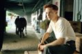 Seabiscuit Photo