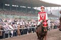 Seabiscuit Photo