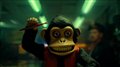 The Monkey Photo