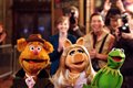 The Muppets Photo