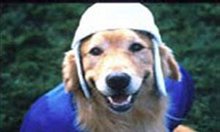 Air Bud: Golden Receiver Photo 4 - Large