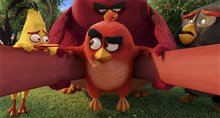 Angry Birds : Le film Photo 33