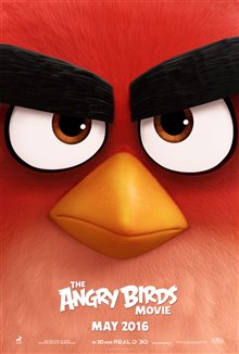 Angry Birds : Le film Photo 41