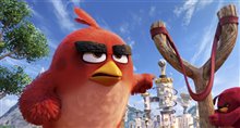 Angry Birds : Le film Photo 13
