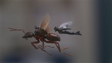 Ant-Man and The Wasp Photo 7