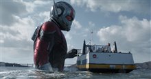 Ant-Man and The Wasp Photo 11