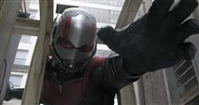 Ant-Man and The Wasp Photo 23