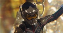 Ant-Man and The Wasp Photo 29