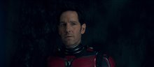 Ant-Man and The Wasp: Quantumania Photo 3