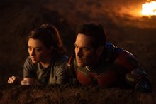 Ant-Man and The Wasp: Quantumania Photo 18