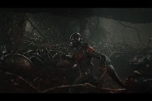 Ant-Man (v.f.) Photo 19