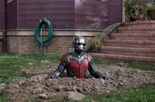 Ant-Man (v.f.) Photo 23