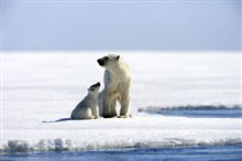 Arctic Tale Photo 3