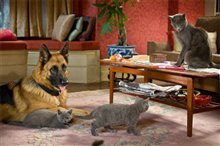 Chats et chiens : La revanche de Kitty Galore Photo 8