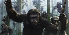 Dawn of the Planet of the Apes Photo 1