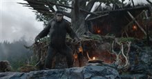 Dawn of the Planet of the Apes Photo 12