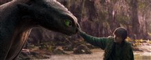 Dragons Photo 2