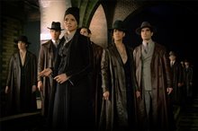 Fantastic Beasts and Where to Find Them Photo 30