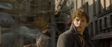 Fantastic Beasts: The Crimes of Grindelwald Photo 76