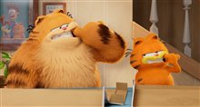 Garfield : Le film Photo 2