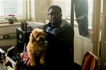 Get Out Photo 7