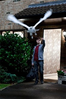 Harry Potter and the Deathly Hallows: Part 1 Photo 78