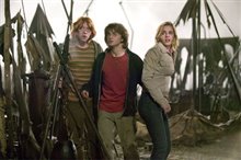 Harry Potter et la coupe de feu Photo 35