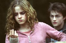 Harry Potter et le prisonnier d'Azkaban Photo 13 - Grande